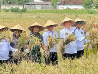 Kalapas Lumajang Hadiri Panen Raya di Lapas Banyuwangi, Dukung Ketahanan Pangan Nasional