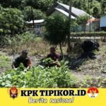 Babinsa Koramil 02/Sukakarya Dampingi Petani Sayur di Gampong Paya Seunara