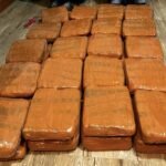 Polda Lampung Gagalkan Penyelundupan 40 Kg Ganja, Kurir Asal Padang Ditangkap