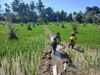 Wujud Kepedulian TNI, Babinsa Posramil Tanoh Alas Bersama Petani Cek dan Bersihkan Saluran Irigasi