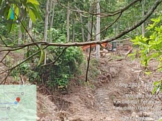 Diduga Tambang Emas Ilegal di Desa Tongra, Aparat Hukum Dinilai Tutup Mata