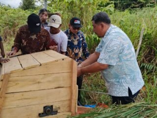 Panen Padi Perdana Didesa Toa Paya Selatan Kabupaten Bintan Kepulauan Riau