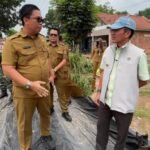 PALEMBANG SEMAKIN NYAMAN PENGERASAN BETON DIJALAN DANI EFFENDI UPAYA PALEMBANG CIPTAKAN JALAN YANG BERKUALITAS.