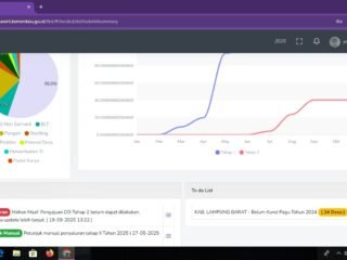 Terhambat nya Pencairan Dana Desa Tahap II 2025 Disebabkan Adanya Update Aplikasi Kemenkeu RI