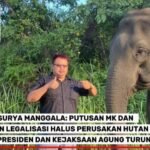 CAKRA SURYA MANGGALA: PUTUSAN MK DAN SK DATIN LEGALISASI HALUS PERUSAKAN HUTAN — DESAK PRESIDEN DAN KEJAKSAAN AGUNG TURUN TANGAN
