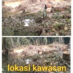 *Di Minta Segera Ditkrimsus polda Sumbar, Tangkap mafia tambang emas dompeng/Robin ilegal di wilayah PT.brm dan hutan kawasan