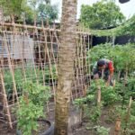 Babinsa Koramil 02/Sukakarya Bersama Warga Tingkatkan Ketahanan Pangan Ciptakan Lahan Produktif
