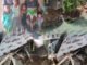 Korban Longsor di Desa Na'ai: Keluarga A.Viki Baene dan I.Viki Baene Memohon Bantuan Pemerintah