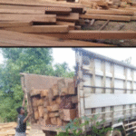 GAKKUM KLHK.Di duga Tebang Pilih Dalam Penertiban Praktek Ilegal Logging*