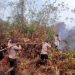 Tim Gabungan Pemadamkebakaran hutan dan lahan (Karhutla) di Desa Mekar Sari kecamatan Merbau terus dilakukan