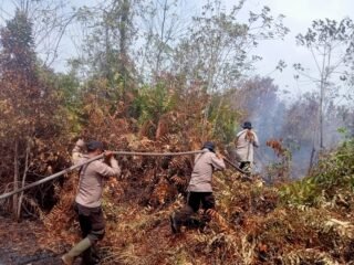Tim Gabungan Pemadamkebakaran hutan dan lahan (Karhutla) di Desa Mekar Sari kecamatan Merbau terus dilakukan