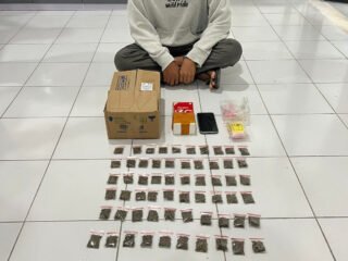 Ditresnarkoba Polda Malut Gagalkan Peredaran 84 Saset Ganja di Halmahera Tengah