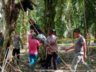 Seorang Warga Tegas mengenaskan di Areal kebun Warga