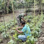 Wujud Kepedulian TNI, Babinsa Koramil 02/Sukakarya Dampingi Petani, Dorong Pemanfaatan Lahan untuk Produktivitas