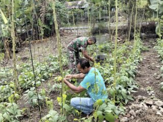 Wujud Kepedulian TNI, Babinsa Koramil 02/Sukakarya Dampingi Petani, Dorong Pemanfaatan Lahan untuk Produktivitas