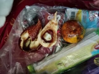 Viral Menu MBG di Lampung barat kebun tebu Diduga Tak Layak, Ada Buah Busuk dalam Paket Makanan Siswa.