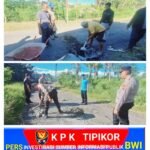 Polresta Banyuwangi Bersama Polsek Sempu Laksanakan Penambalan Jalan Berlubang di Desa Temuguruh Bersama Perangkat Desa