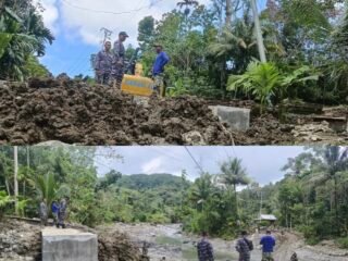 Danlanal Nias Selatan Tinjau Jembatan Bailey di Boronadu