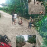 Pemuda Tiga Desa di Kecamatan Gomo Gotong Royong Perbaiki Jalan Rusak Penghubung Gomo–Boronadu