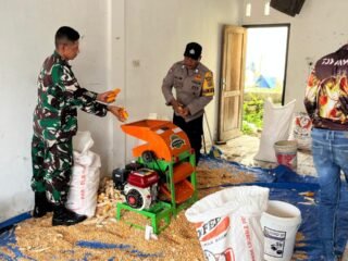 Sinergi Babinsa dan Bhabinkamtibmas Dukung Ketahanan Pangan, Dampingi Petani Jagung Hingga Siap Jual
