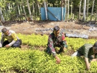Dari Pekarangan Jadi Sumber Penghasilan, Babinsa Krueng Raya Dampingi Warga Budidaya Sayuran