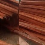 Perambahan hutan dan pembalakan liar di Siak kecil kabupaten Bengkalis, terus saja bergulir seakan APH tutup mata