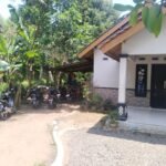 Arena Sabung Ayam Menjadi Tempat Perjudian di Kutoarjo Meresahkan Warga