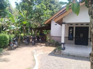 Arena Sabung Ayam Menjadi Tempat Perjudian di Kutoarjo Meresahkan Warga