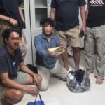 Ditresnarkoba Polda Malut Gagalkan Peredaran Ganja 545 Gram di Halmahera Tengah
