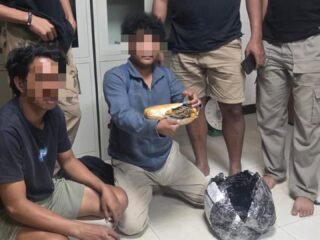 Ditresnarkoba Polda Malut Gagalkan Peredaran Ganja 545 Gram di Halmahera Tengah