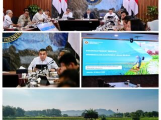 Perkuat Pengendalian Alih Fungsi Lahan Sawah, Wamen Ossy: Targetkan Peta LSD Baru di 17 Provinsi