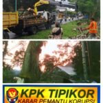 Diduga Abaikan Keselamatan Warga, UPT PJJ PU Bina Marga Banyuwangi Diprotes: Aduan Pohon Rawan Roboh Tak Kunjung Ditindak