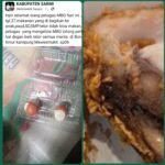 Di Suguhkan Makanan Belum Matang, Pengelola MBG Di Kabupaten Sarmi Hanya Mengejar Nama, Ada Apa di Balik Bisnis ini ????.