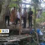 Tim personil Polsek labuhan ruku bersama kepala desa Indrayaman roboh kan Gubuk sarang narkoba