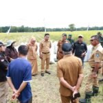 Ketahanan Pangan Jadi Fokus Utama Pemerintah Bulukumba . Panen Raya Padi di Bontoharu