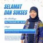 Andi Trismiati SP M. A P.Bawah Harapan Baru bagi Sektor Pertanian dan Ketahanan Pangan Bulukumba