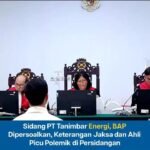 Sidang PT Tanimbar Energi, BAP Dipersoalkan, Keterangan Jaksa Dan Ahli Picu Politik di Persidangan