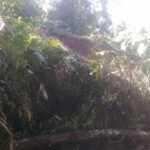 Info Buat Bupati Sumedang. " Bencana Alam Longsor Memutuskan Aliran Air Irigasi Sangiang Sri