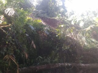 Info Buat Bupati Sumedang. " Bencana Alam Longsor Memutuskan Aliran Air Irigasi Sangiang Sri