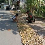 Pererat Kemanunggalan, Babinsa Koramil 01/Sukajaya Bantu Warga Jemur Pinang