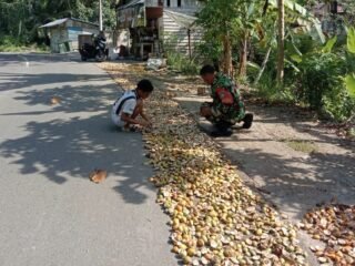 Pererat Kemanunggalan, Babinsa Koramil 01/Sukajaya Bantu Warga Jemur Pinang