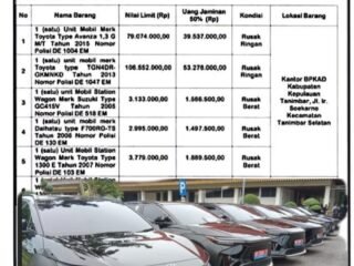 Miris Diduga Sejumlah Kendaraan Pemerintah  Kabupaten Kepulauan Tanimbar Yang Disita Tak Terurus.