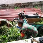 Humanis dan Merakyat, Babinsa Keuneukai Tunjukkan Kepedulian Nyata, Bantu Cari Pakan Ternak Warga