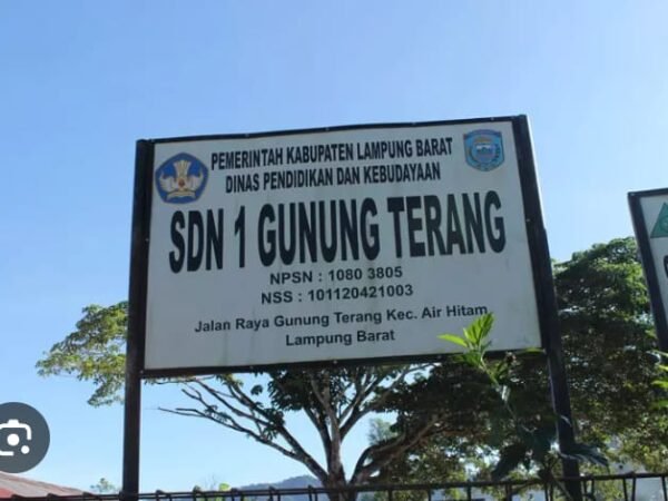 DPD LPK-RI Lampung akan Laporkan SDN 1 Gunung terang ke polres Lampung barat terkait realisasi anggaran dana (BOS).
