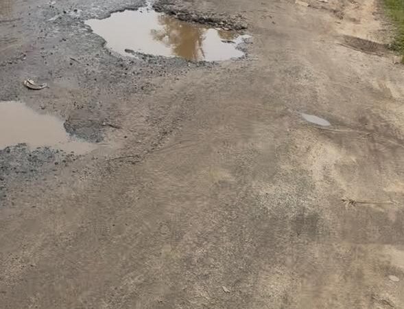 Jalan Sukorahayu Lampung Timur Hancur Total, Warga: "Sudah Bertahun-tahun Dibiarkan"