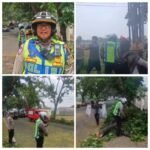 Polres Cianjur Sigap Tangani Pohon Tumbang, Arus Lalu Lintas Kembali Normal dalam 15 Menit