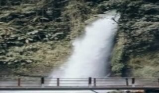 Menilik Rahasia Sukses Pengelolaan Situ Gunung: Sinergi Konservasi dan Modernisasi