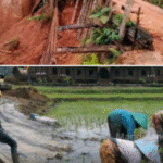 Demi Pembangunan, Pertanyaannya Pembangunan Untuk Siapa.