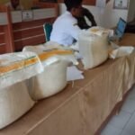 Pemdes Muara Dua Salurkan Bantuan Pangan: Tiap KPM Terima 2 Karung Beras dan 4 Kantong Minyak