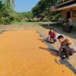 Dukung Program Nasional, Polsek Pasir Penyu Lakukan Sambang Ketahanan Pangan Di Kelurahan Tanah Merah